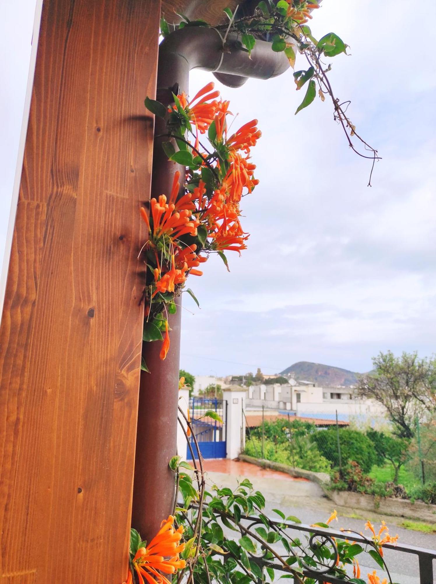 Holiday Home Mennulita Đảo Lipari Ngoại thất bức ảnh